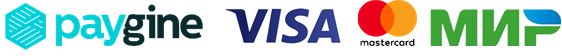 Visa, MasterCard, МИР, Paygine